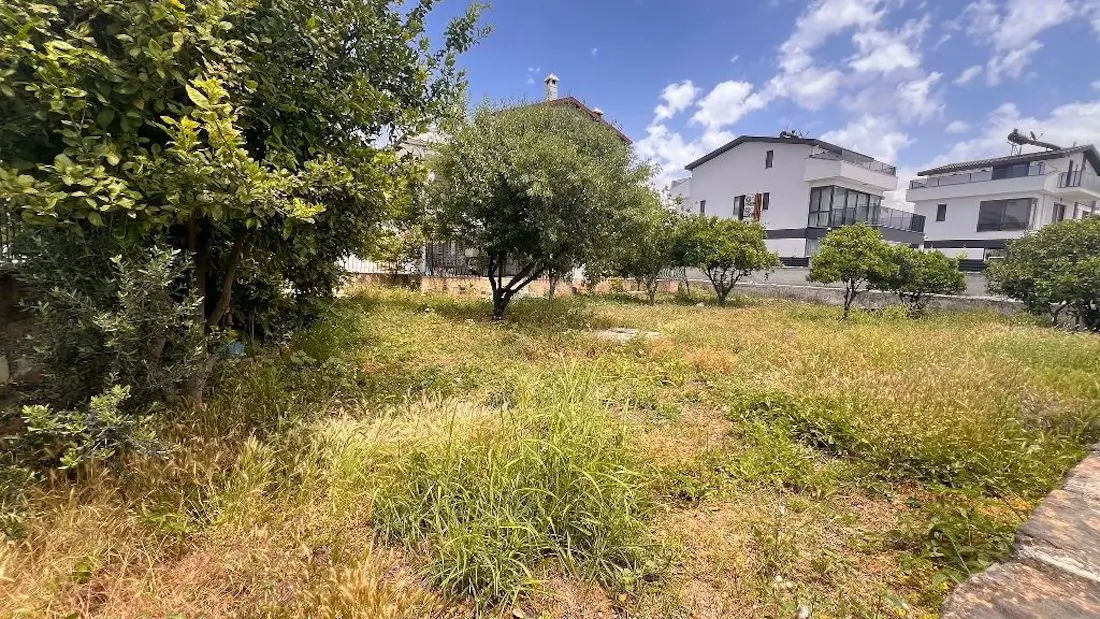 Mature garden